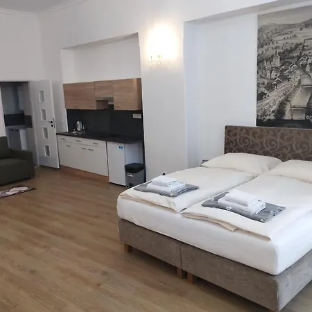 Paderewski Apartman Karlovy Vary