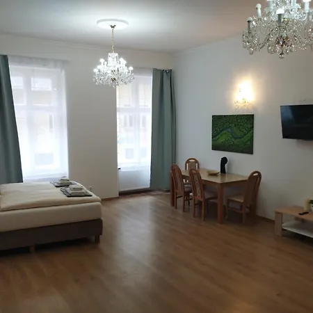 Apartman Paderewski Karlovy Vary