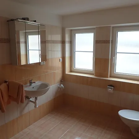 Paderewski Apartment Karlovy Vary