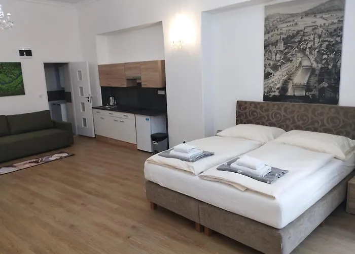 Paderewski Apartmán Karlovy Vary