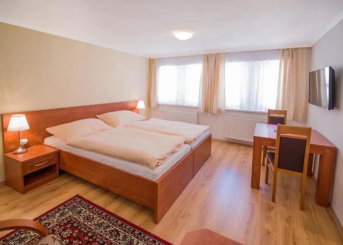 Paderewski Apartmán Karlovy Vary