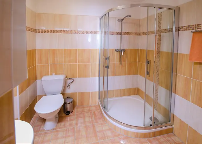 Paderewski Apartmán Karlovy Vary