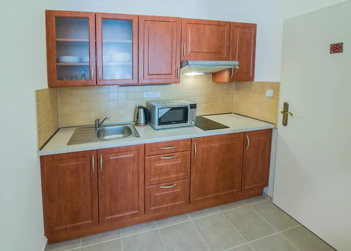 Apartmán Paderewski *