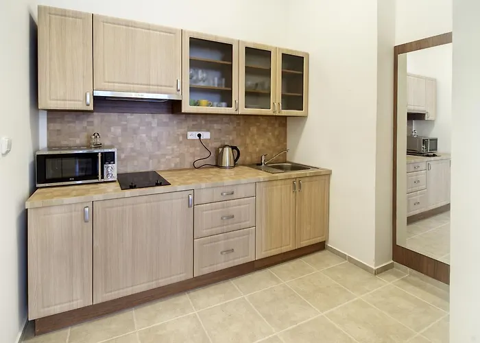 Apartmán Paderewski Karlovy Vary